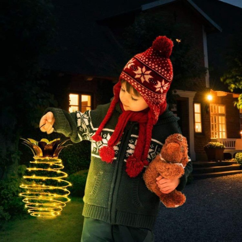 Solarbetriebene LED-Lichterket – Solar Lantern Hanging Bewertung und Preis