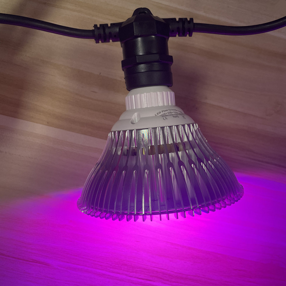 10 m langes LED-Kabel, wasserd – Outdoor Lighting Construction Bewertung und Preis